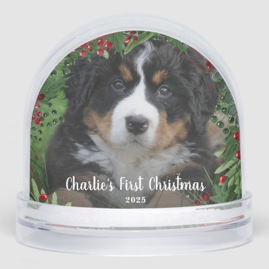 Create your Dog's First Christmas photo  (正面)