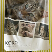 Create Your Own Cat Photo フリースブランケット