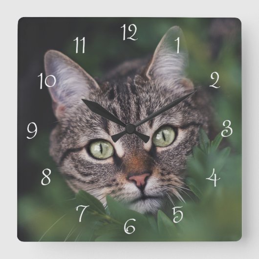 Create Your Own Custom Pet Photo Square Wall Clock スクエア壁時計 (正面)