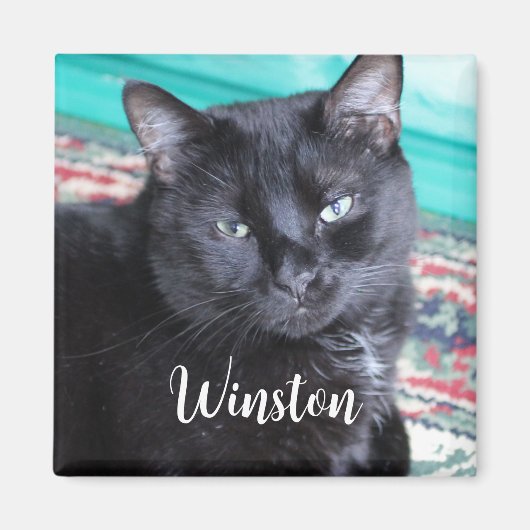 Create Your Own Custom Photo and Name マグネット (正面)