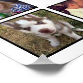Create Your Own Custom Photo Collage With Text Key ポスター (角)