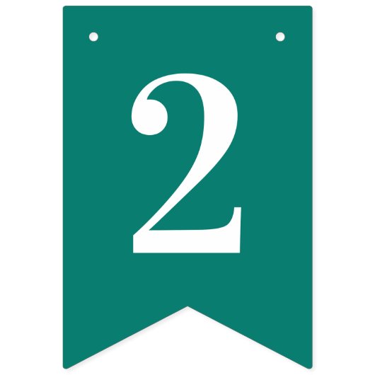 CREATE-YOUR-OWN DIYのカスタムな文字のクリスマス バンティングフラッグ (第2の旗)