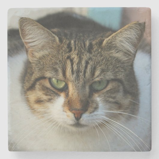Create Your Own Pet Photo Custom Picture Gift ストーンコースター (正面)