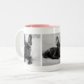 Create Your Own Pet Photo Instagram  ツートーンマグカップ (正面左)