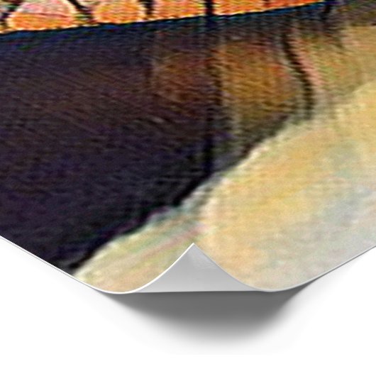 Creative Wildlife Sea Turtle Florida Travel ポスター (角)