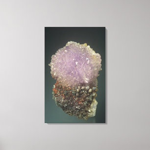 Creediteの水晶、チワワ、メキシコ キャンバスプリント
