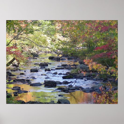Creek in Connecticut ポスター (正面)