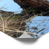 Creek Waterscape Reflectionsフォトポスター ポスター (角)