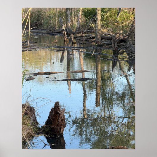 Creek Waterscape Reflectionsフォトポスター ポスター (正面)