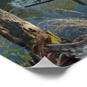 Creek Waterscape Reflectionsポスター ポスター (角)