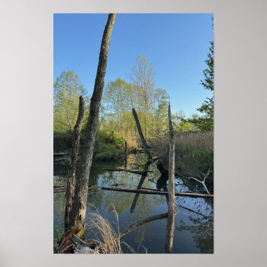 Creek Waterscape Reflectionsポスター ポスター (正面)