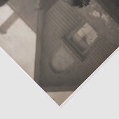 Creepy Cat Family  薄葉紙 (詳細)