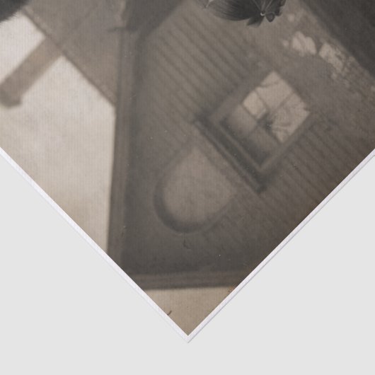 Creepy Cat Family  薄葉紙 (詳細)