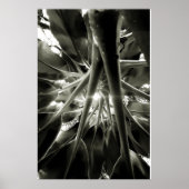 crescendo ポスター (正面)