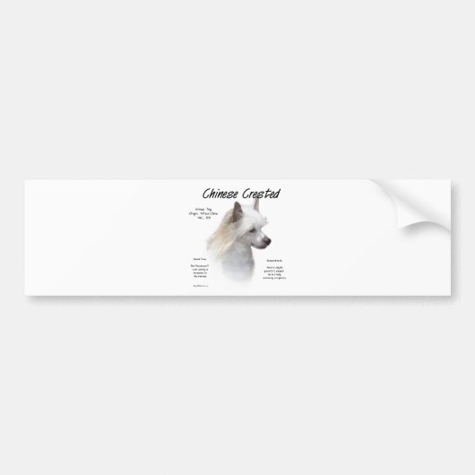 Crested (中国のpowderpuff)履歴デザイン バンパーステッカー (正面)