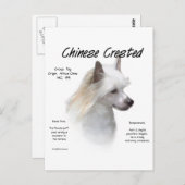 Crested (中国のpowderpuff)履歴デザイン ポストカード (正面/裏面)