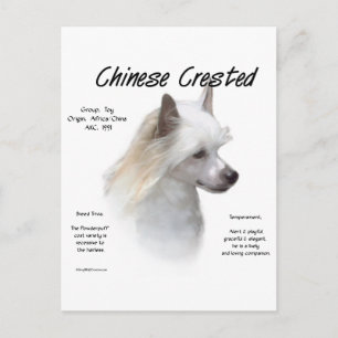 Crested (中国のpowderpuff)履歴デザイン ポストカード