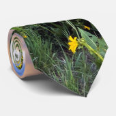 Crested Butte、CO Photograph ネクタイ (ロール)