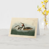 Crested Grebe -素晴らし Audubon's Birds of America カード (黄色い花)