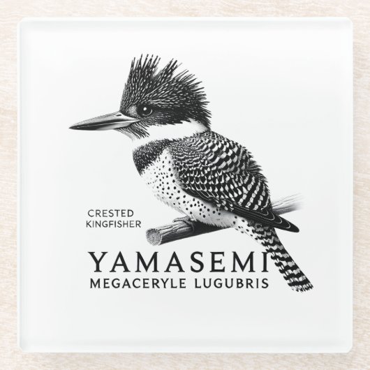 Crested Kingfisher Black & White ガラスコースター (正面)