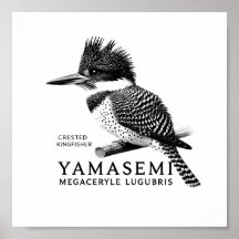 Crested Kingfisher Black & White Art Print