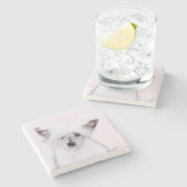 Crested Powderpuff中国のの絵画一覧 – Dog Art ストーンコースター (横)