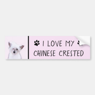 Crested Powderpuff中国のの絵画一覧 – Dog Art バンパーステッカー