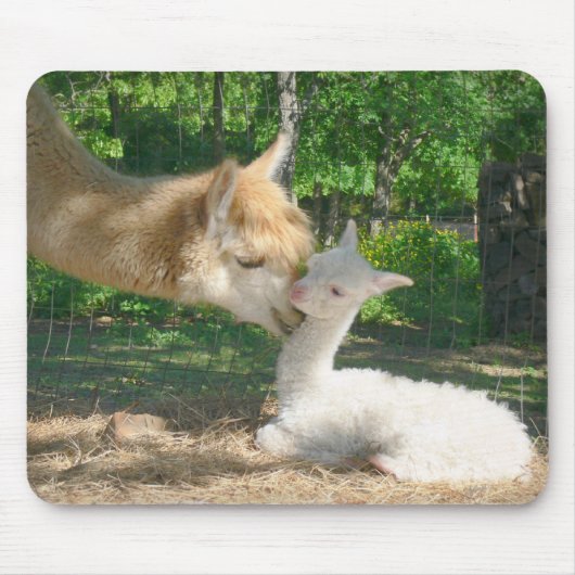 Criaの新しいマウスパッド マウスパッド (正面)