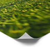 Cricket Bat Standing on Sunlit Field ポスター (角)