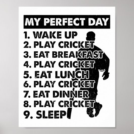 Cricket Day Plan Cricket Player  ポスター (正面)