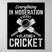 Cricket - Everything In Moderation Except Playing  ポスター (正面)