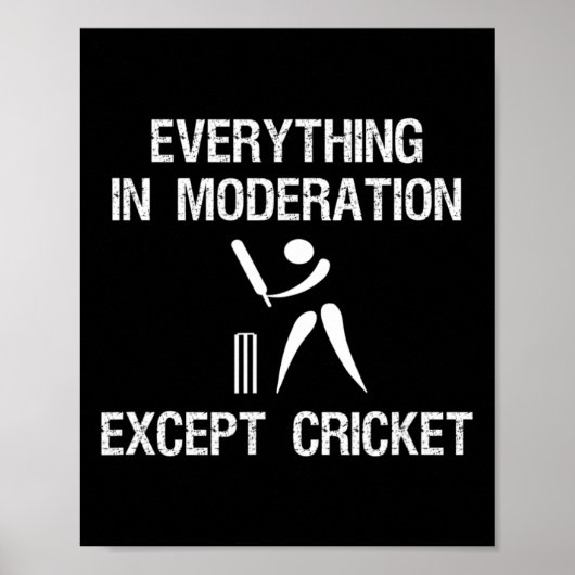Cricket Game - Funny Moderation - Player  ポスター (正面)