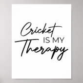 Cricket Is My Therapy ポスター (正面)