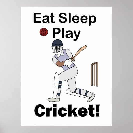 Cricket Sports Eat Sleep Play Cricket ポスター (正面)