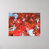 Crimson Myrtle #1 キャンバスプリント (正面)