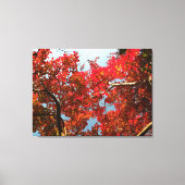 Crimson Myrtle #2 キャンバスプリント (正面)