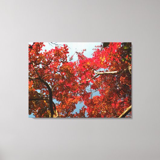 Crimson Myrtle #2 キャンバスプリント (正面)