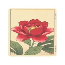 Crimson Peony Reverie