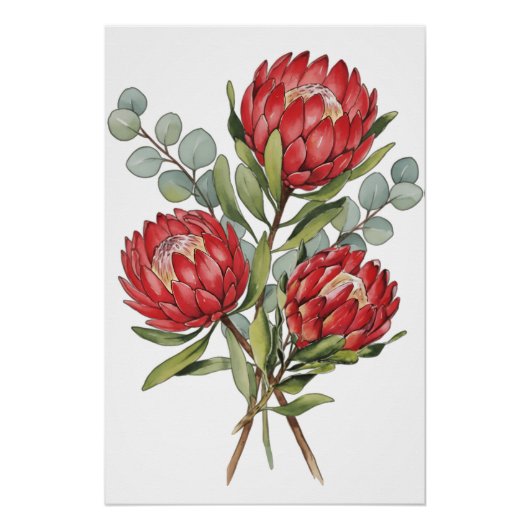 Crimson Protea Bouquet Watercolor ポスター (正面)