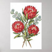 Crimson Protea Bouquet Watercolor ポスター (正面)