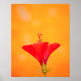 Crimson Serenity ポスター