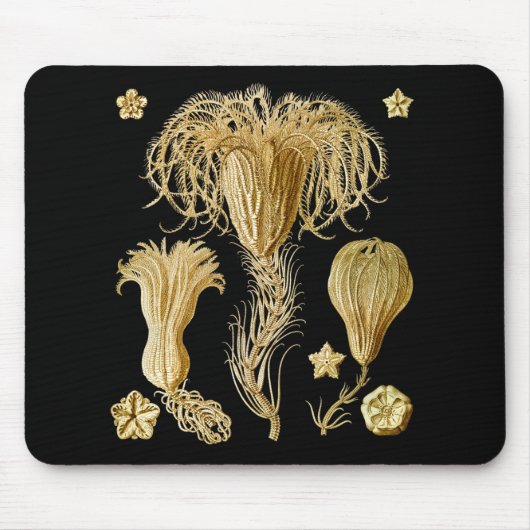 Crinoids マウスパッド (正面)