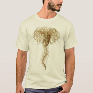 Crinoids Tシャツ