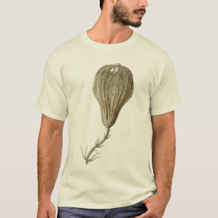 Crinoids Tシャツ