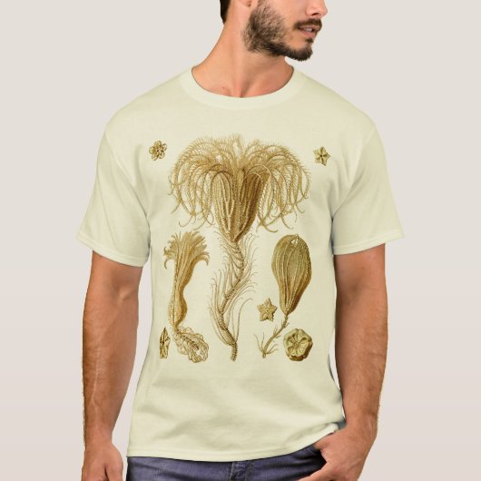 Crinoids Tシャツ (正面)