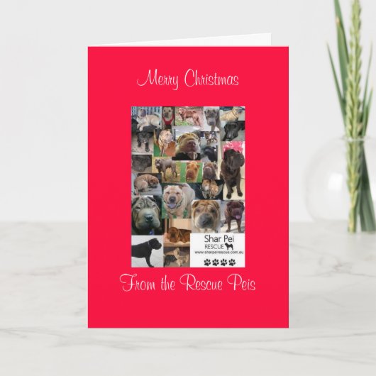 CristamsFrom メリー the Rescue Peis シーズンカード (正面)