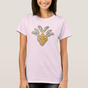 Cristatellaのmucedo Tシャツ