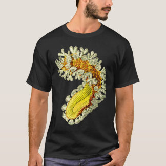 Cristatellaのmucedo Tシャツ