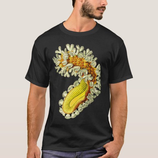 Cristatellaのmucedo Tシャツ (正面)
