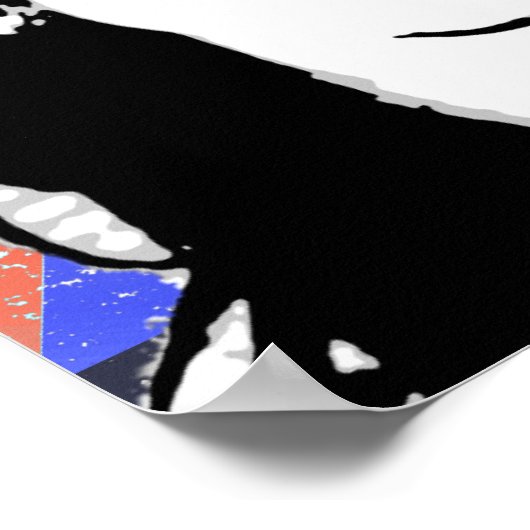 Cristina Fernandez de Kirchner ポスター (角)